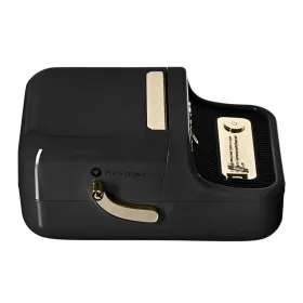 Tarratulostin NIIMBOT B21S BLACK