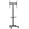 TV statīvs ar riteņiem MacLean MC-949 32" 34"-55"