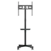 TV statīvs ar riteņiem MacLean MC-949 32" 34"-55"