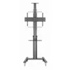 Ekrāna Galda Atbalsts GEMBIRD TVS-70T-02 70" 37"