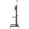 Ekrāna Galda Atbalsts GEMBIRD TVS-70T-02 70" 37"