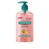 Sanytol Kitchen Hand Soap 250ml