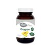 Granero S Aceite De Onagra 220 30 Perlas X 700 Mg