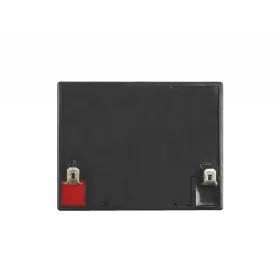 Eurostil Pua Blanca Cepillo De Pelo Jabali Rectangular Pequeño 1un