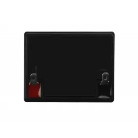 Eurostil Batidor Peine Concha 19 Cm 1un