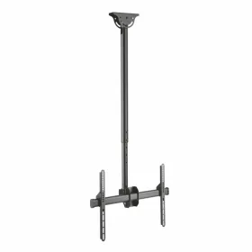 Eurostil Uñas Lima Acolchada Curva 175mm Negra Pack 12un
