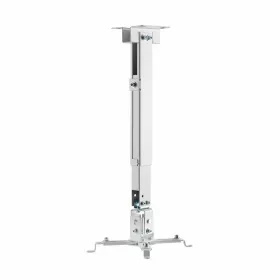 Eurostil Captain Cook Peine 18cm Marfil 1un