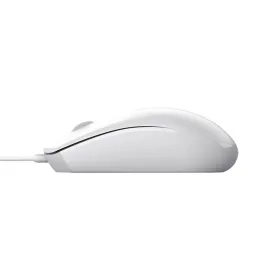 Eurostil Eco Cepillo Oval Sin Mango 1un