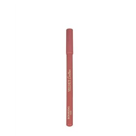 Bourjois Velvet Contour Perfilador De Labios 13-Nohalicious 1,14g