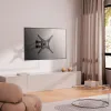 Lauatugi Ekraanile Aisens WT55TSE-153 55"