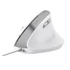 Ergonomic Optical Mouse Trust Bayo II White Black 2400 dpi