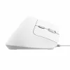 Ergonomic Optical Mouse Trust Bayo II White Black 2400 dpi