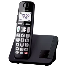 Беспроводный телефон Panasonic KX-TGE250SPB