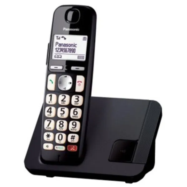 Belaidis telefonas Panasonic KX-TGE250SPB