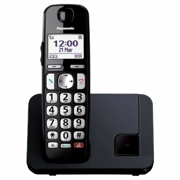 Belaidis telefonas Panasonic KX-TGE250SPB