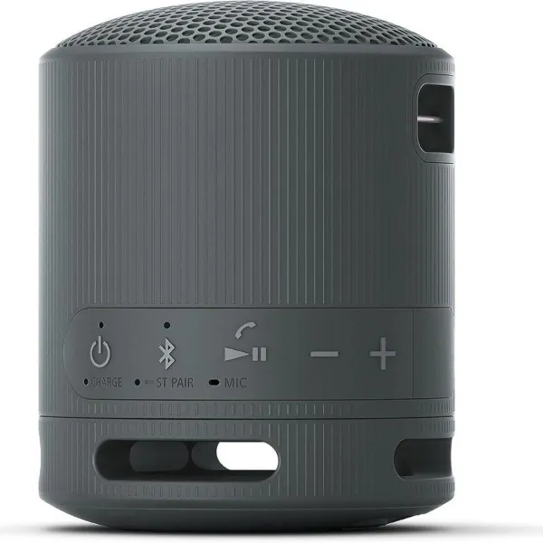 Bezvadu Skaļruņi Sony SRSXB100B.CE7 Melns