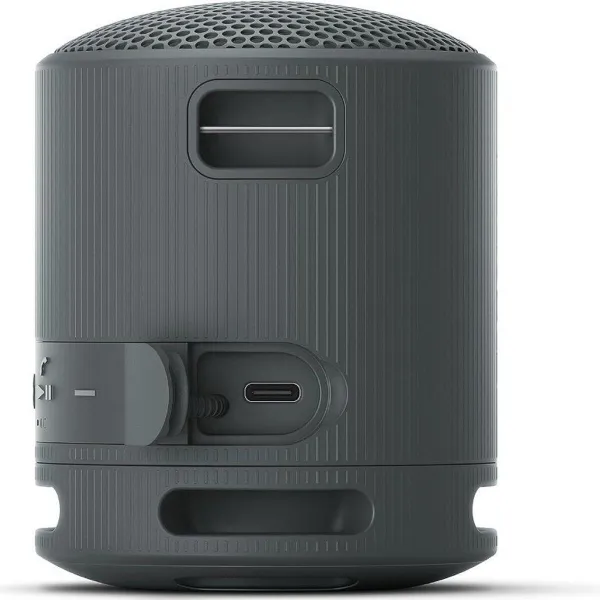 Bezvadu Skaļruņi Sony SRSXB100B.CE7 Melns