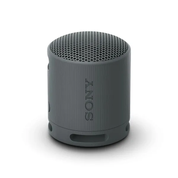 Bezvadu Skaļruņi Sony SRSXB100B.CE7 Melns