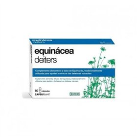 Deiters Cap Echinacea