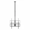 TV Statīvs Aisens CT100TSLE-393 100" 80 kg