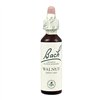 Santiveri Bach Walnut 10ml