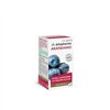 Arkocapsulas Bilberry 45 Capsules