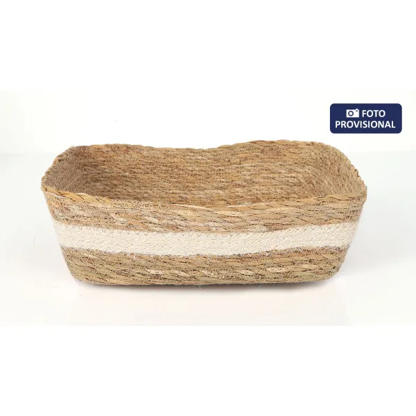 Uzglabāšanas Kaste Privilege pīts Taisnstūra 20 x 15 x 7 cm (18 gb.)