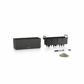 Dėklas Clear MagSafe Case Apple iPhone Air skaidrus