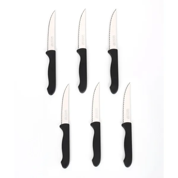Peilių rinkinys Cuyfor Juoda Sidabras Nerūdijantis plienas polipropileno 6 Dalys (24 vnt.)