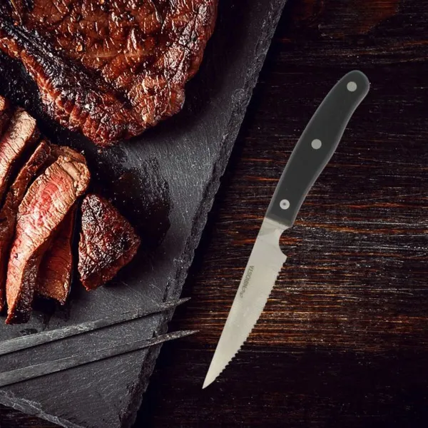 Knife Set Nirosta Stainless steel 6 Pieces