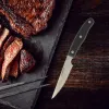 Knife Set Nirosta Stainless steel 6 Pieces