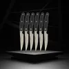Knife Set Nirosta Stainless steel 6 Pieces