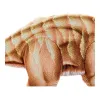 Fluffy toy DKD Home Decor Brown Aluminium Children's Dinosaur