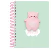 Užrašų knygelė Safta The pink cat Spalvotas