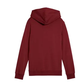 Megztinis su kapišonu mergaitėms Puma Essentials 2 Color No.1 Log Kaštoninė Tamsiai raudona