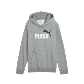 Uniseksinis džemperis su gobtuvu Puma Essentials 2 Color No.1 Pilka