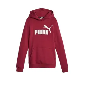 Lasten huppari Puma Ess Ruskea