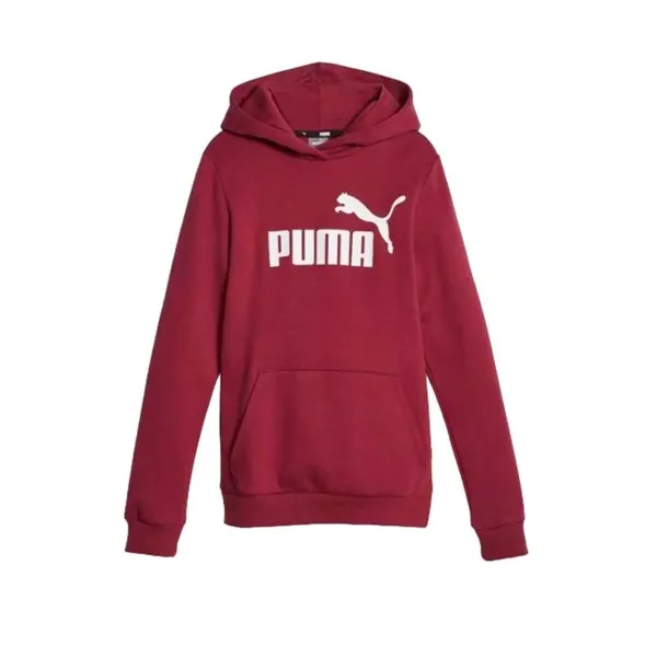Lasten huppari Puma Ess Ruskea