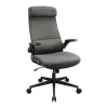 Gaming Chair Cougar 3MSTDGRB.0001 Black Grey