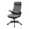 Gaming Chair Cougar 3MSTDGRB.0001 Black Grey
