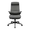 Gaming Chair Cougar 3MSTDGRB.0001 Black Grey