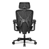 Gaming Chair Cougar 3MSPDGRB.0001 Black