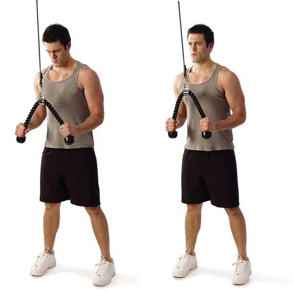 Strong Training Rope Handle Springos FA0033