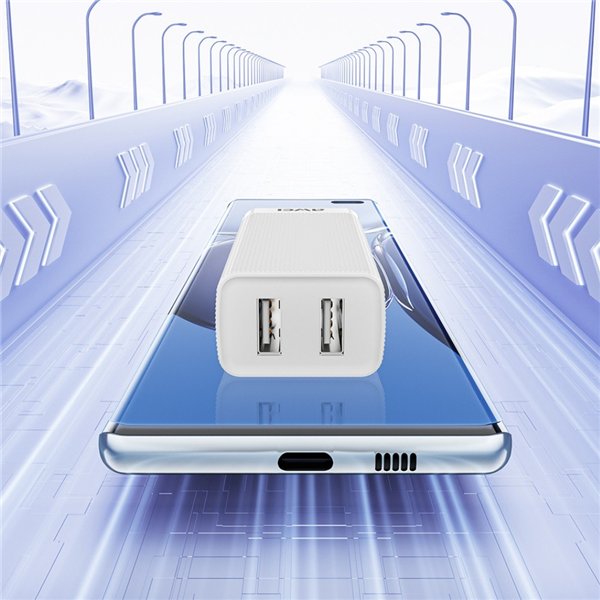 Charger Awei C15-EU 10W 2xUSB-A white