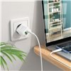 Charger Borofone BN7 20W USB-C/USB-A + USB-C to USB-C cable 1.0m white