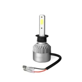 Automobilio lemputė M-Tech MTECLSC1 H1 12 V 55 W