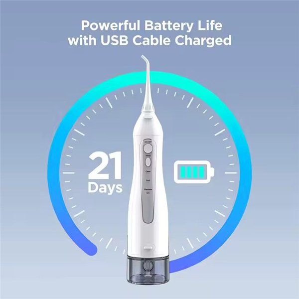 Irigatorius Reach FW-1 baltas