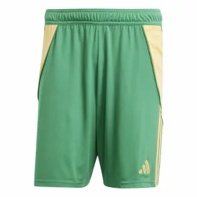 Aikuisten treenijalkapallohousut Adidas Tiro24 Miehet