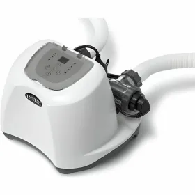 Salt Chlorination System Intex