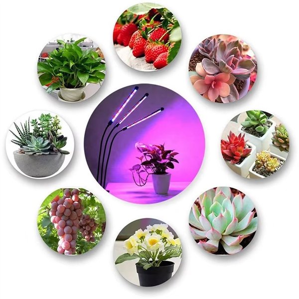 LED lamp for growing plants Reach 3X